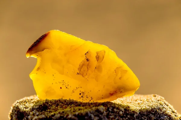 Ámbar en una playa del Mar Báltico — Foto de Stock