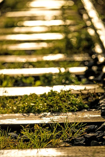 Vieux rails au soleil doux du matin d'automne — Photo