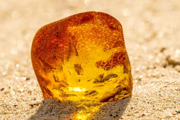 Ámbar en una playa del Mar Báltico — Foto de Stock