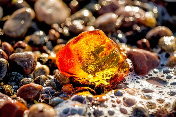 Amber on a beach of the Baltic Sea in the surf Stock Photo