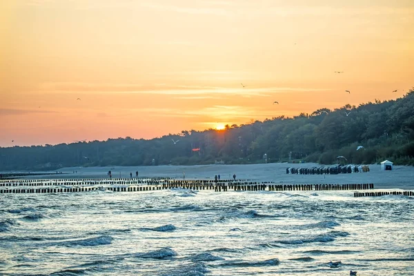 Salida del sol sobre el mar Báltico con ingles — Foto de Stock