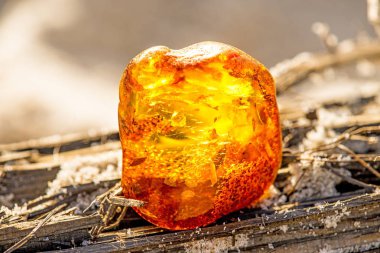 Amber Baltık Denizi'nin bir plajda