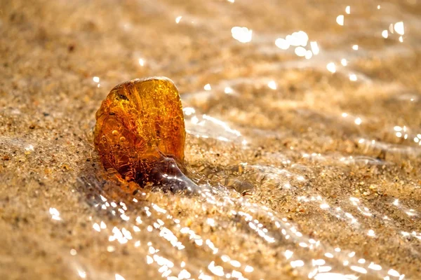 Amber on a beach of the Baltic Sea in the surf — Stock Photo, Image