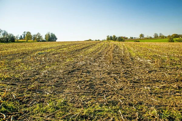 Harvested corn field in Germany — Stock Photo, Image