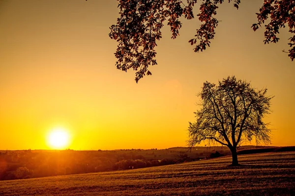 Por do sol no outono com árvore — Fotografia de Stock