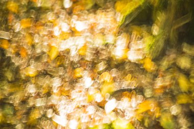 Arka plan bulanık renk