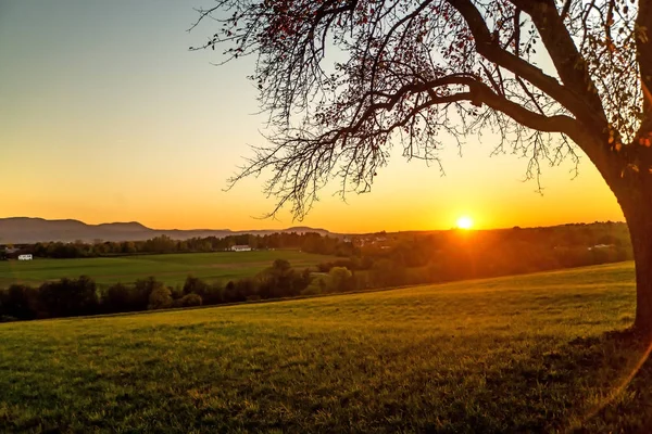 Sunset in autumn with tree — Stock Photo, Image
