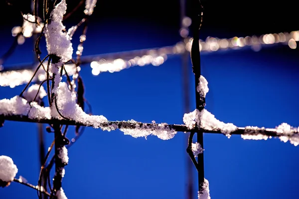 Scène d'hiver, clôture avec bonnet de neige — Photo