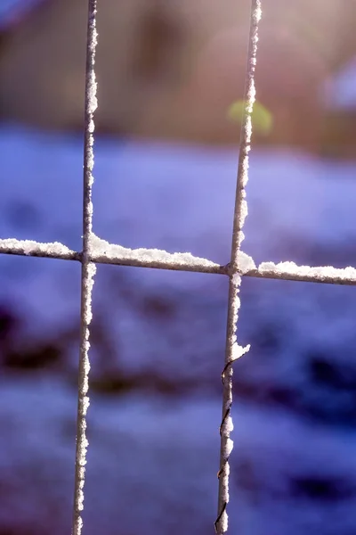 Winter scene, fence with snow cap — Stock Photo, Image