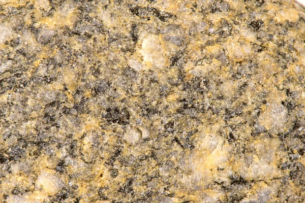 Stone with phenocrysts — Stock Photo, Image