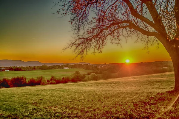 Puesta de sol en otoño con árbol —  Fotos de Stock