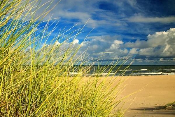 Παραλία της Βαλτικής θάλασσας με χλόης παραλιών και παγκάκι στο πίσω φως — Φωτογραφία Αρχείου