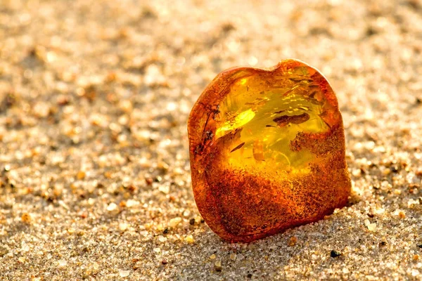 Amber di pantai Laut Baltik — Stok Foto