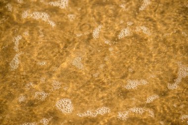 kabarcıkları sörf ile kumlu plaj