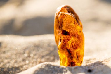 Amber Baltık Denizi'nin bir plajda