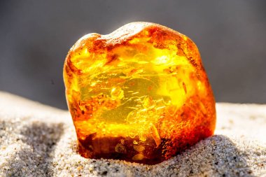 Amber Baltık Denizi'nin bir plajda