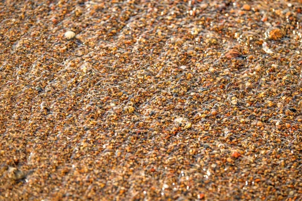 Piedra de guijarro en una playa — Foto de Stock