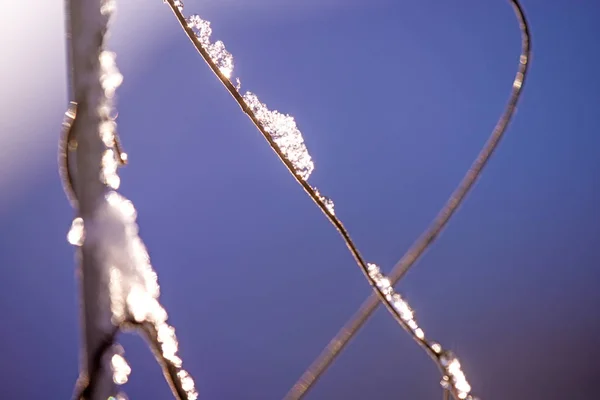 Winter scene, fence with snow cap — Stock Photo, Image