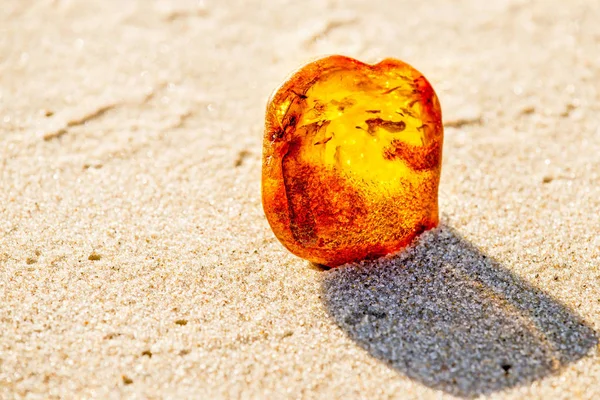 Âmbar em uma praia do Mar Báltico — Fotografia de Stock