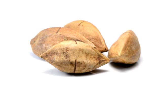 Орехи Пили Поворотном Столе — стоковое видео