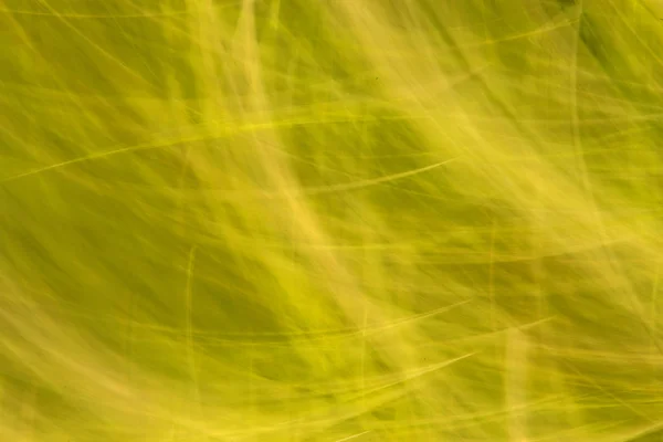 Arka plan bulanık renk bir çayır — Stok fotoğraf