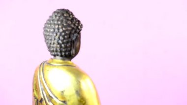 Akupunktur modeli, ayak akupunktur iğneleri dönüş tablo ile