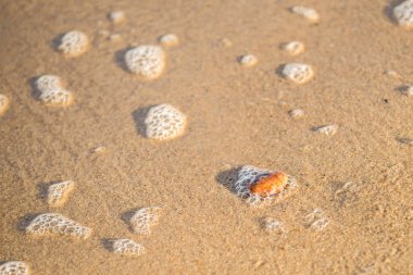 çakıl ve sprey sörf ile kumlu plaj