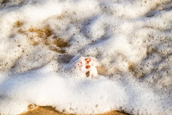 Spiaggia sabbiosa con ghiaia e spray del surf — Foto Stock