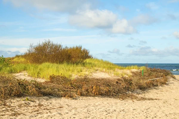 Plage de la mer Baltique avec plage d'herbe et banc de parc en contre-jour — Photo