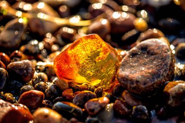Amber bir plajda sörf Baltık Denizi'nin