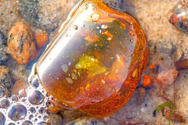 Ámbar en una playa del Mar Báltico en el oleaje — Foto de Stock