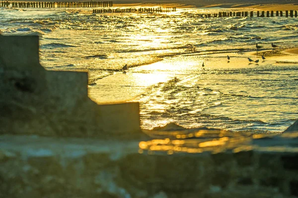 Oleaje del mar Báltico durante el amanecer — Foto de Stock