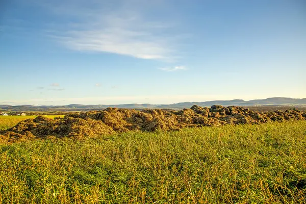 Trágya hill egy réten, a német highlands Alb — Stock Fotó