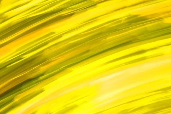 Фон осенних цветов размытой травы — стоковое фото
