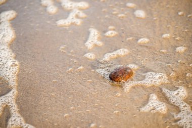 çakıl ve sprey sörf ile kumlu plaj