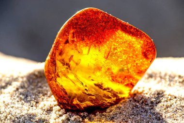 Amber Baltık Denizi'nin bir plajda