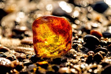 Amber Baltık Denizi'nin bir plajda