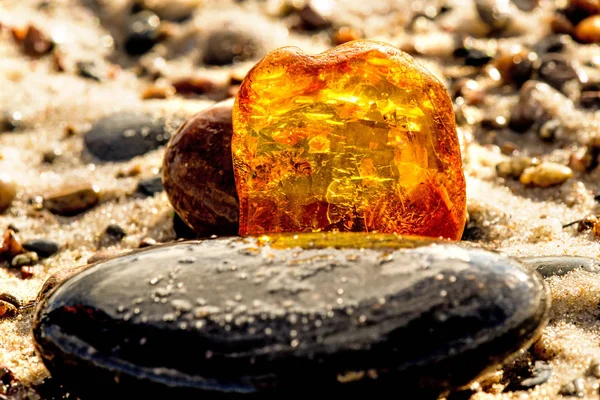 Amber on a beach of the Baltic Sea Royalty Free Stock Images