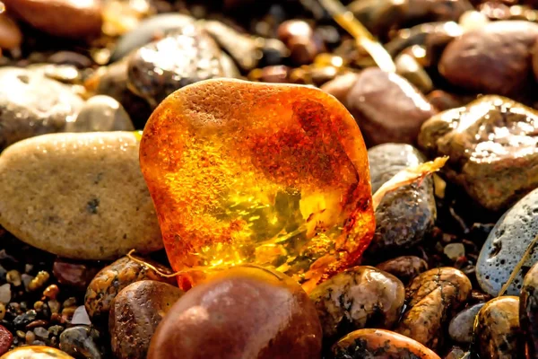 Ámbar en una playa del Mar Báltico — Foto de Stock