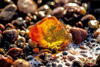 Amber Baltık Denizi'nin bir plajda