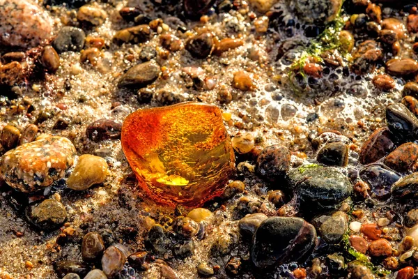 Amber Baltık Denizi'nin bir plajda — Stok fotoğraf