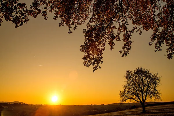 Por do sol no outono com árvore — Fotografia de Stock