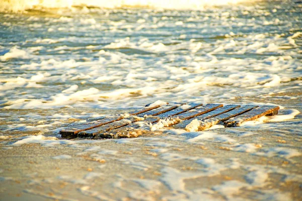 Bois flotté, palette sur une plage de la mer Baltique — Photo