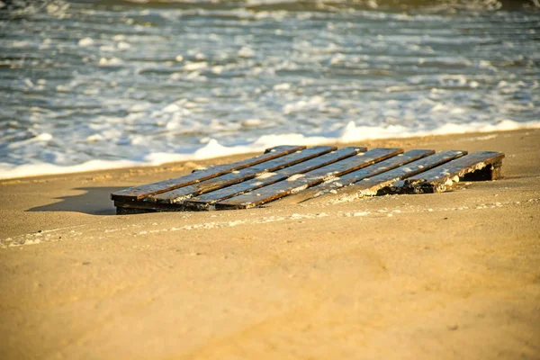 Driftwood, палітра на пляжі Балтійського моря — стокове фото