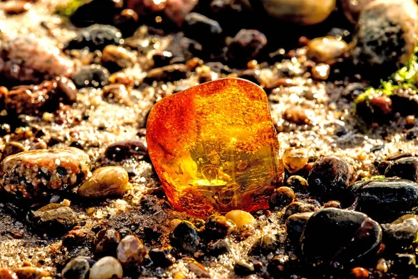 Ámbar en una playa del Mar Báltico — Foto de Stock