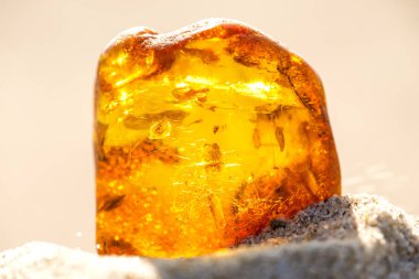 Amber Baltık Denizi'nin bir plajda