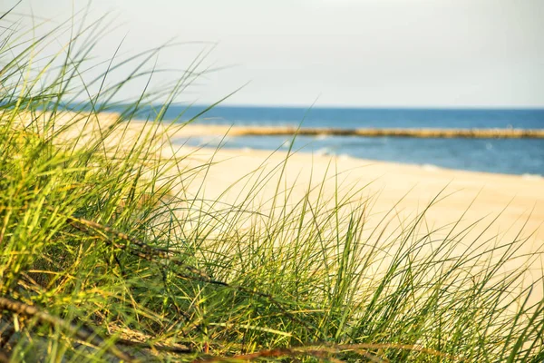 Plage de la mer Baltique avec plage herbe — Photo