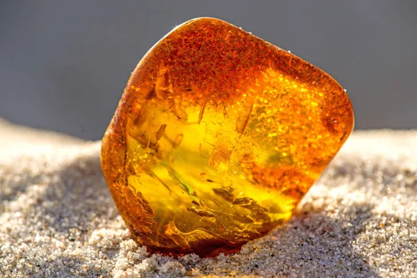 Amber på en strand i Östersjön — Stockfoto