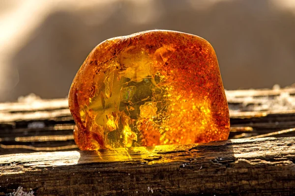 Amber op een strand van de Oostzee — Stockfoto