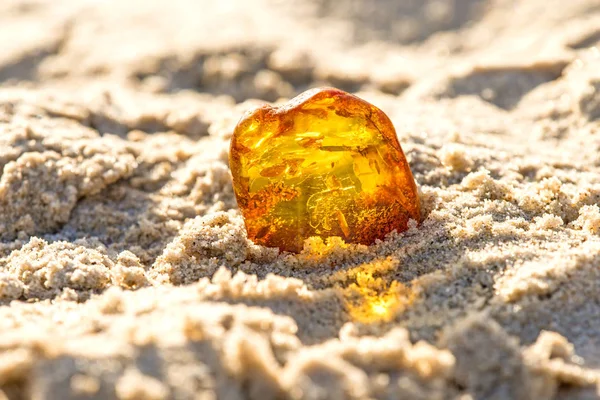 Âmbar em sol em uma praia do mar Báltico — Fotografia de Stock